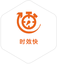 新龙镇到匈牙利物流公司